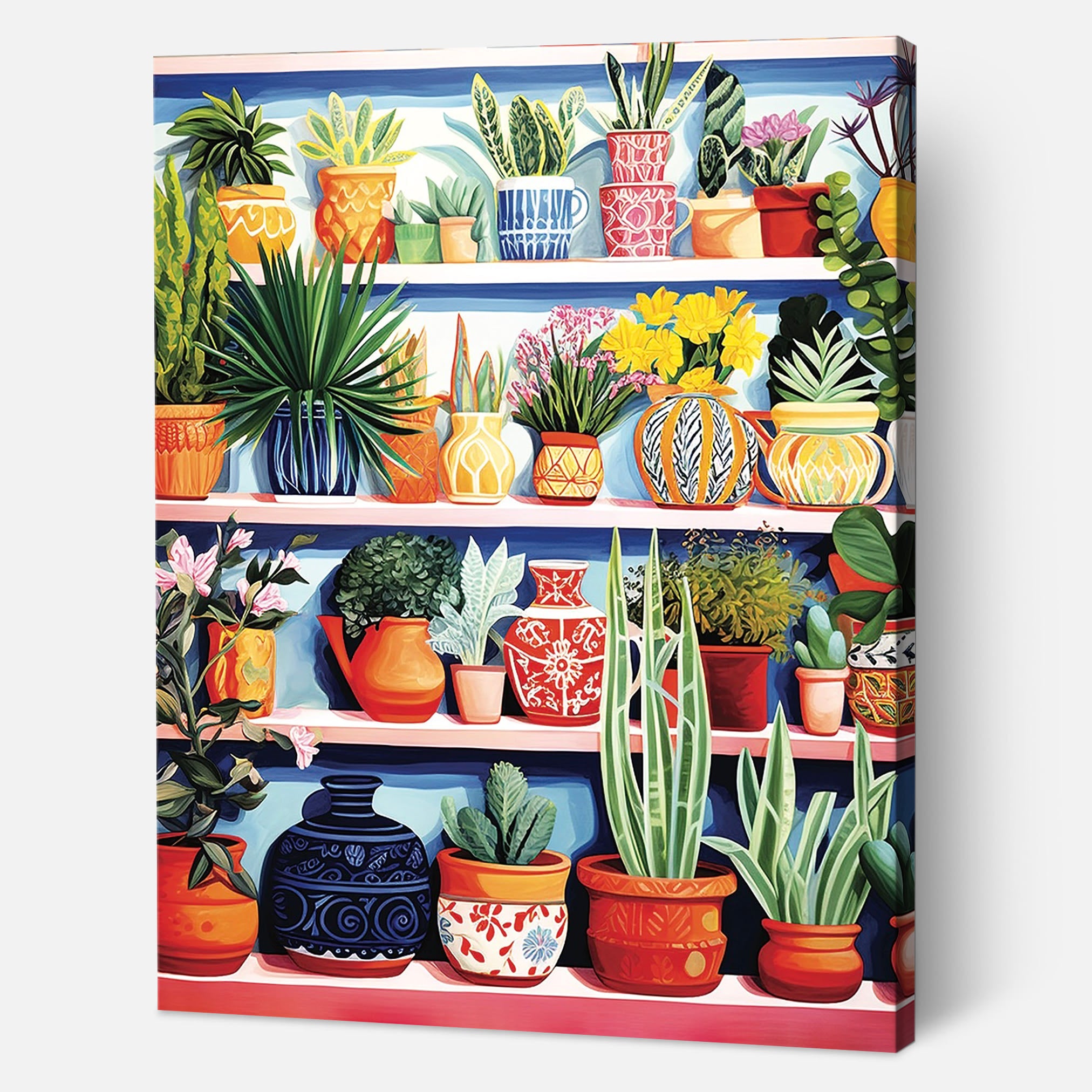 Potted Plants