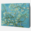 Almond Blossom