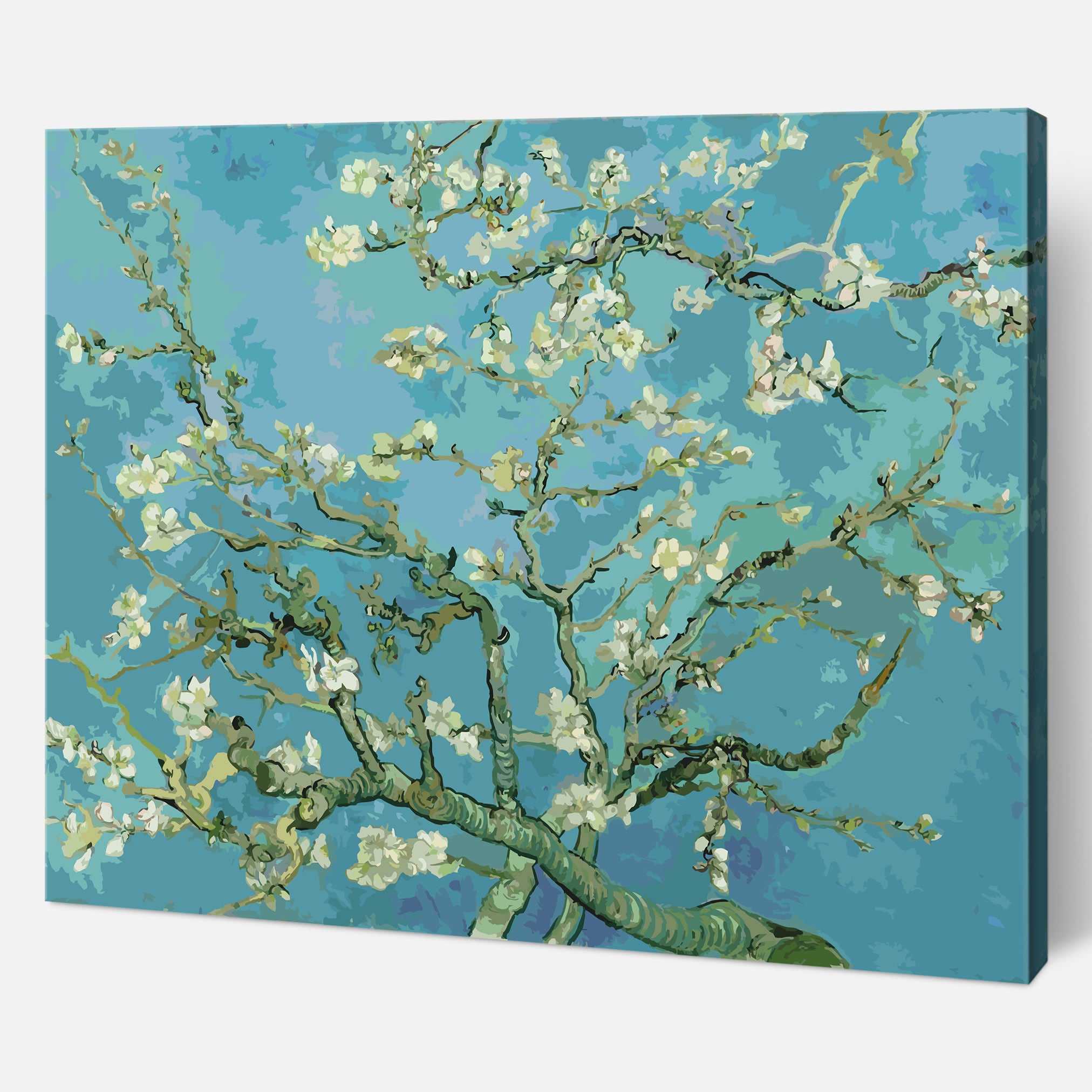 Almond Blossom