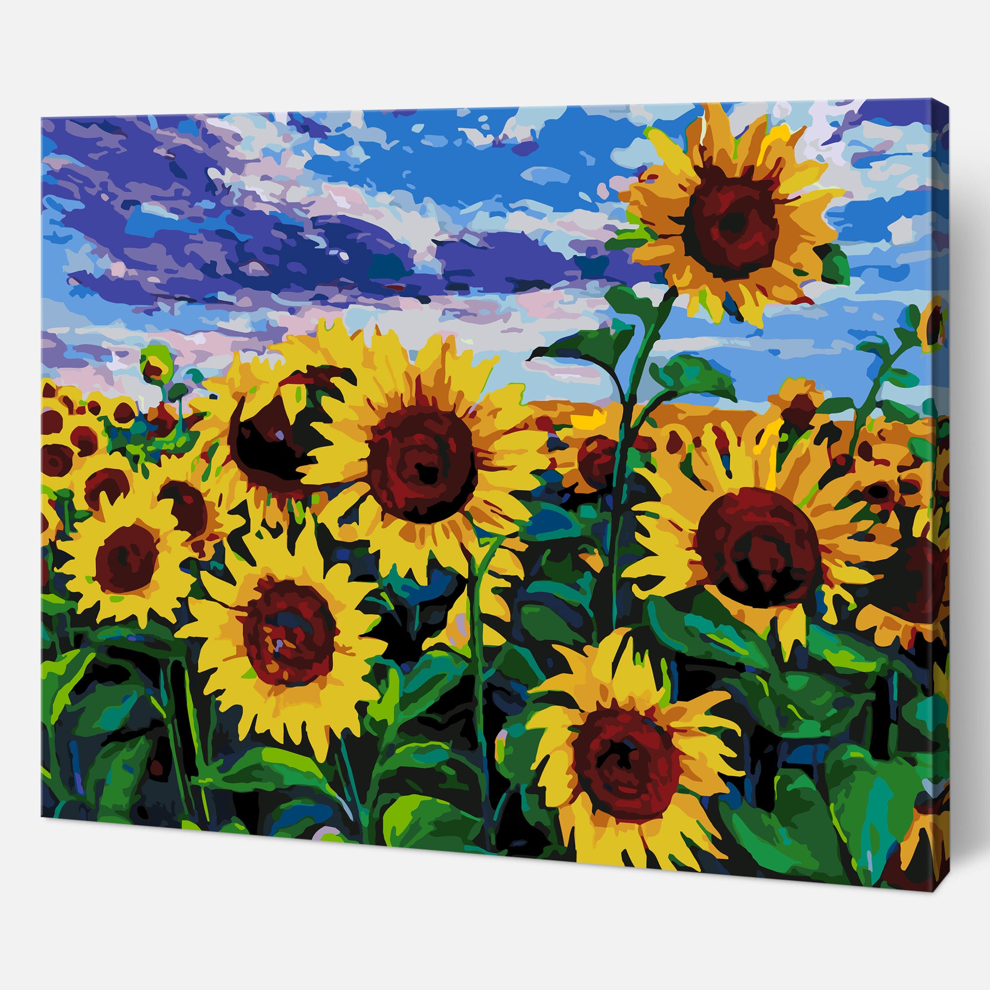 Sunflower field