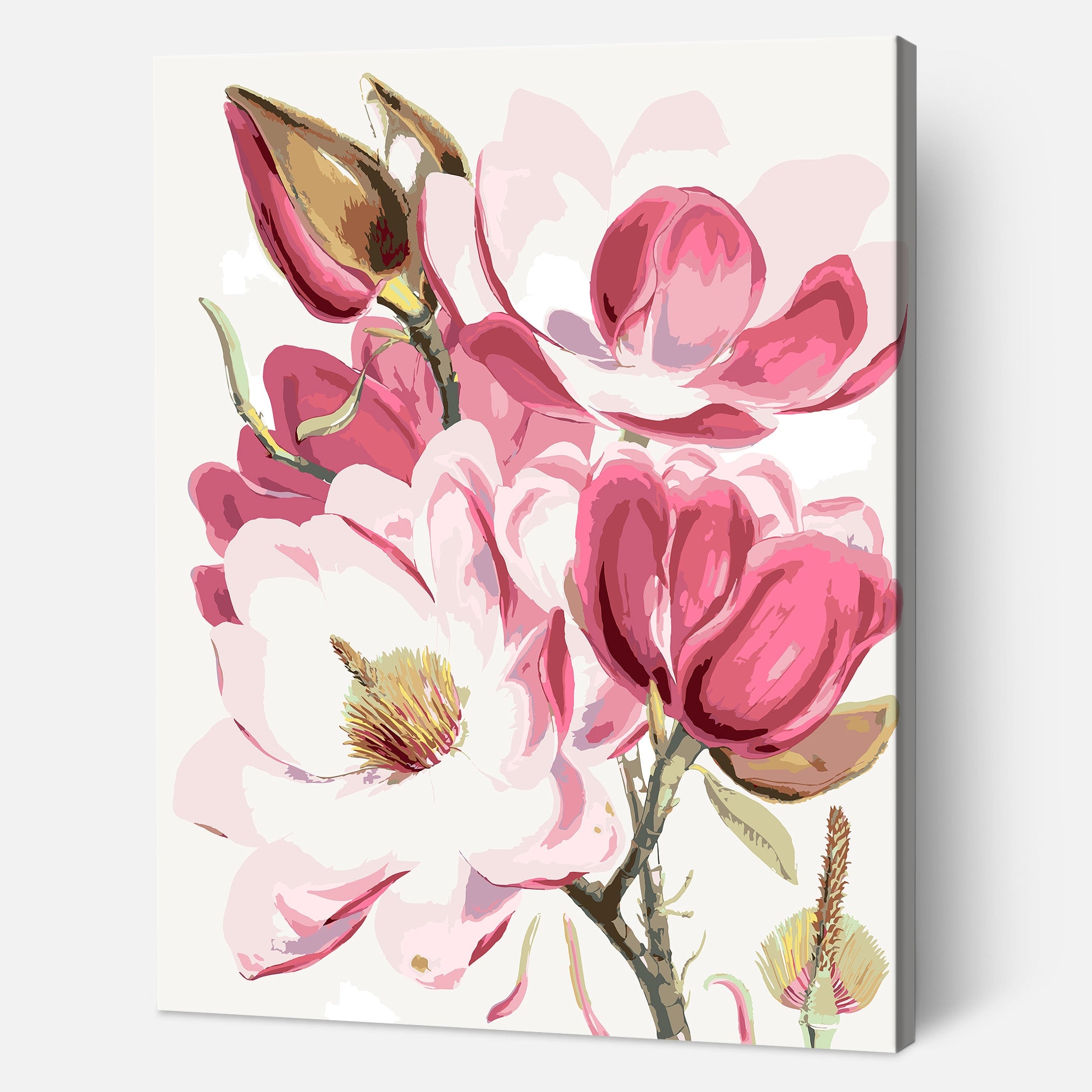 Campbell's Magnolia