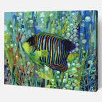 Imperial Angelfish