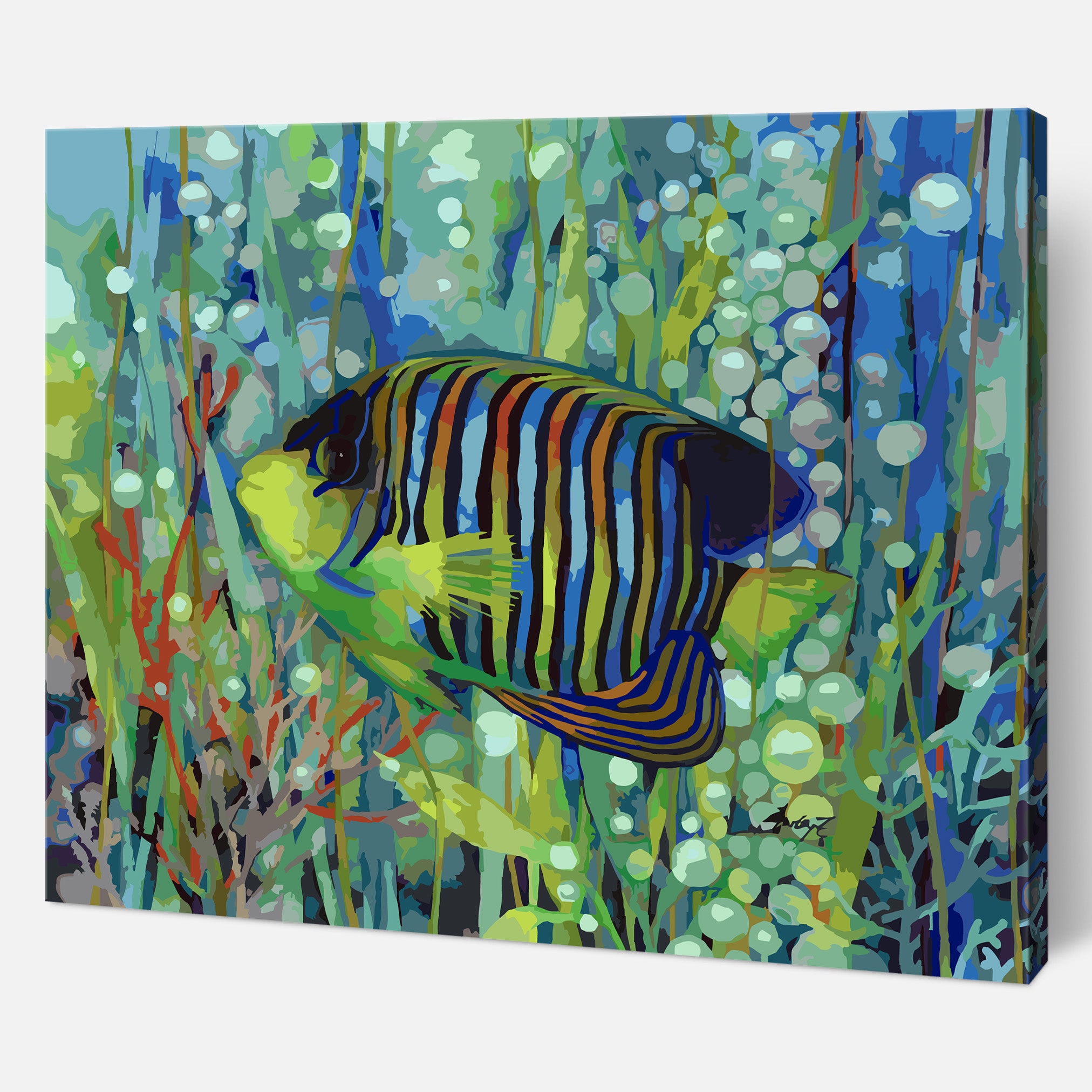 Imperial Angelfish