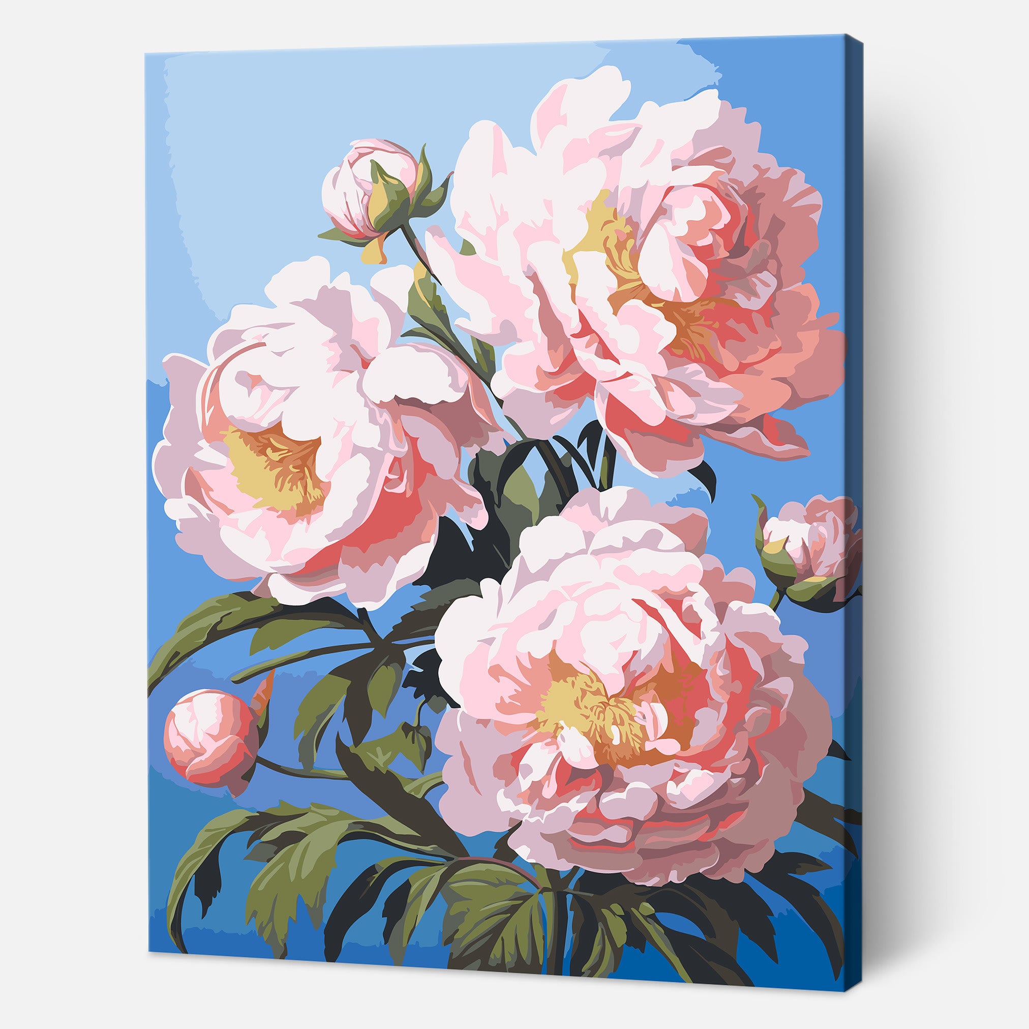 Fluffy Pink Peony