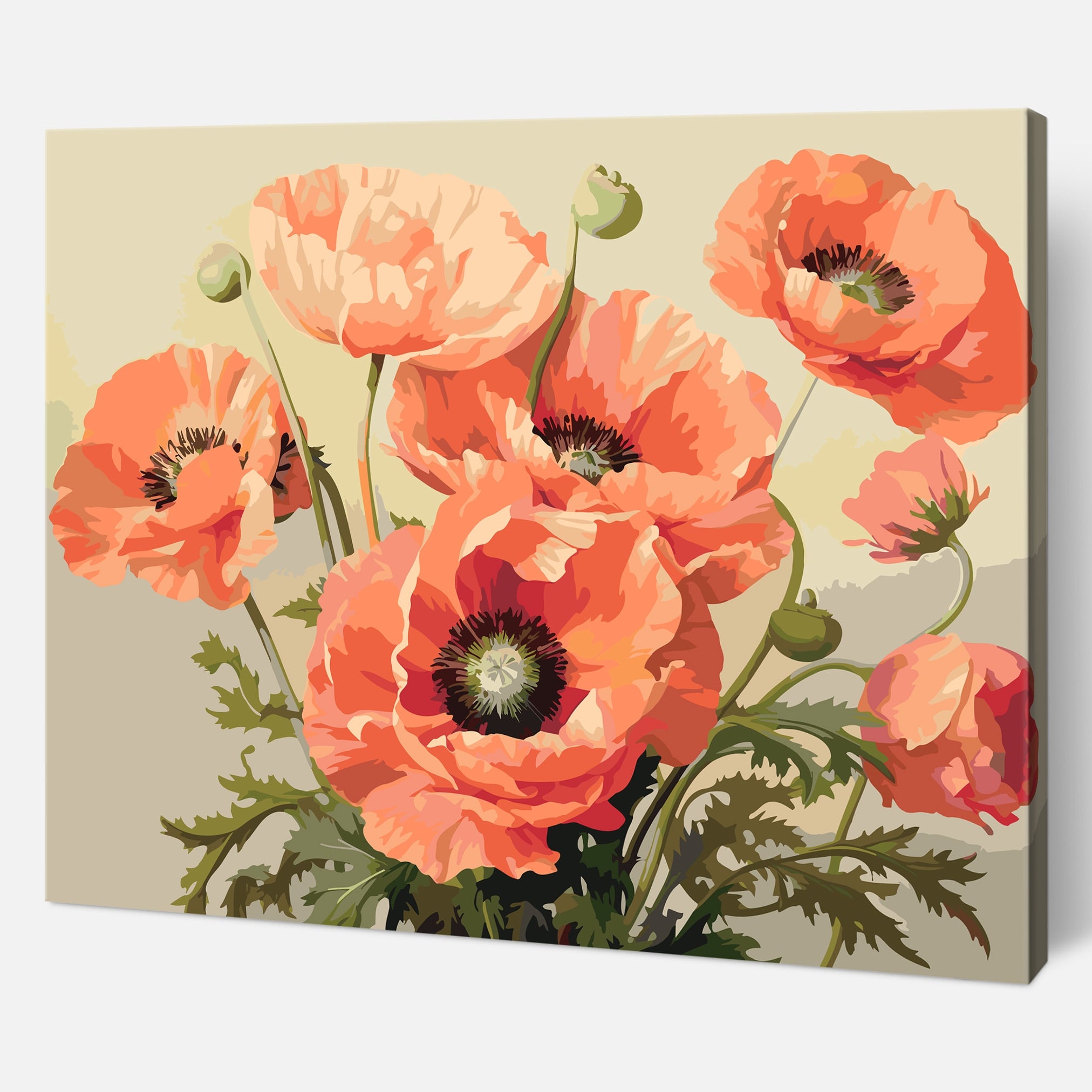 Poppy Perfection