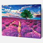 Lavender fields of Provence