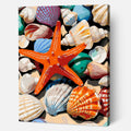Seashell Delight
