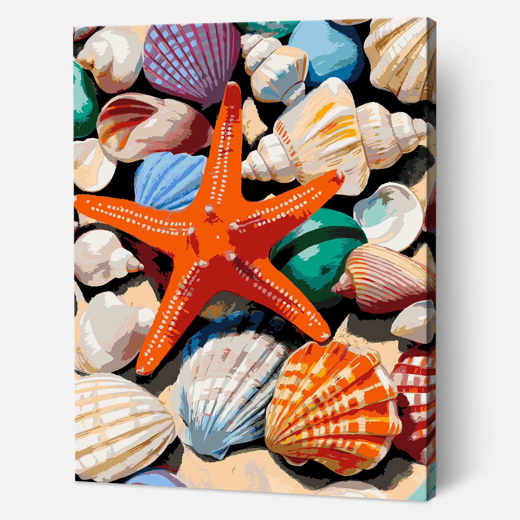 Seashell Delight