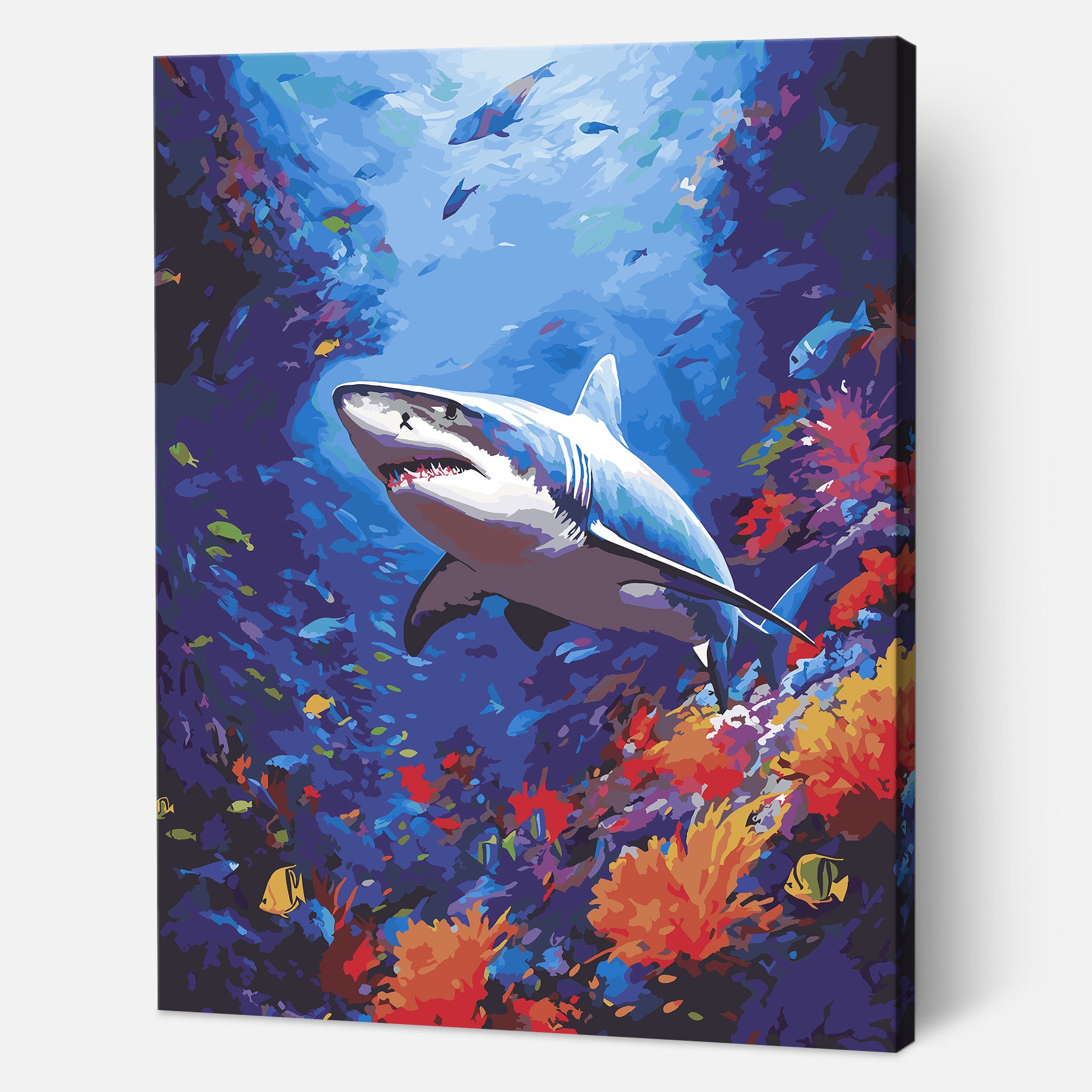 Reef Shark