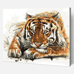 Amur Tiger