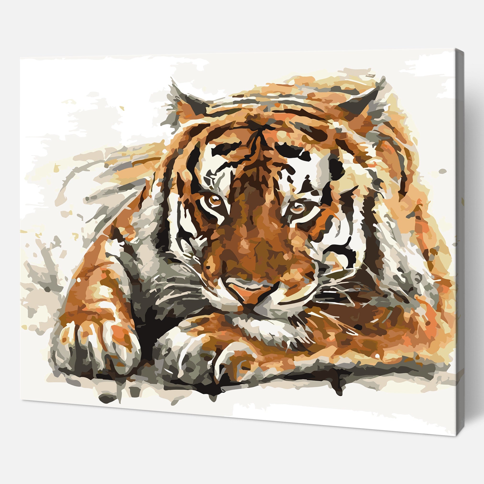 Amur Tiger