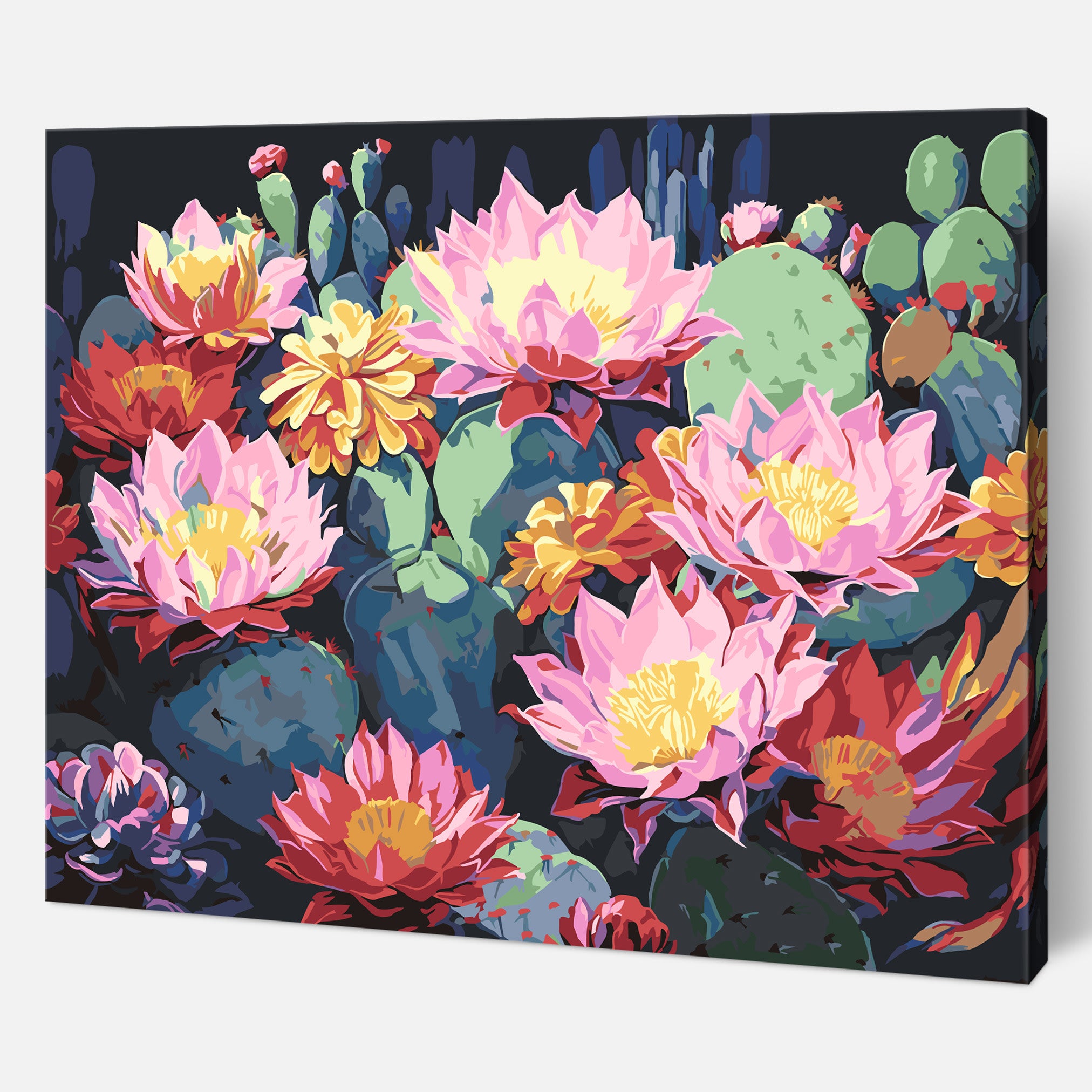 Cactus Blooms