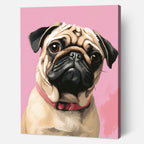 Adorable Pug