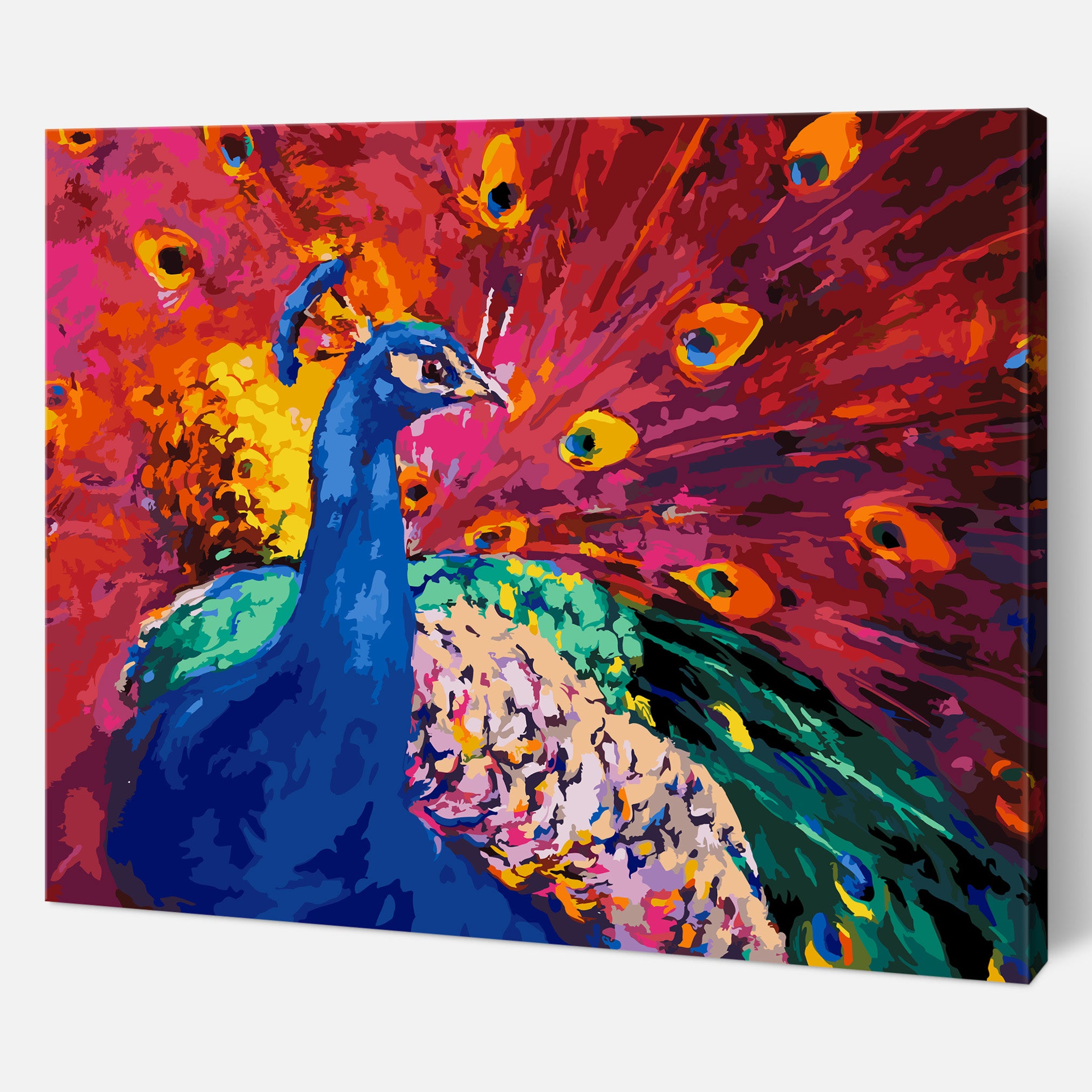 Paint By Numbers Peacock