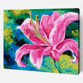 Pink lily
