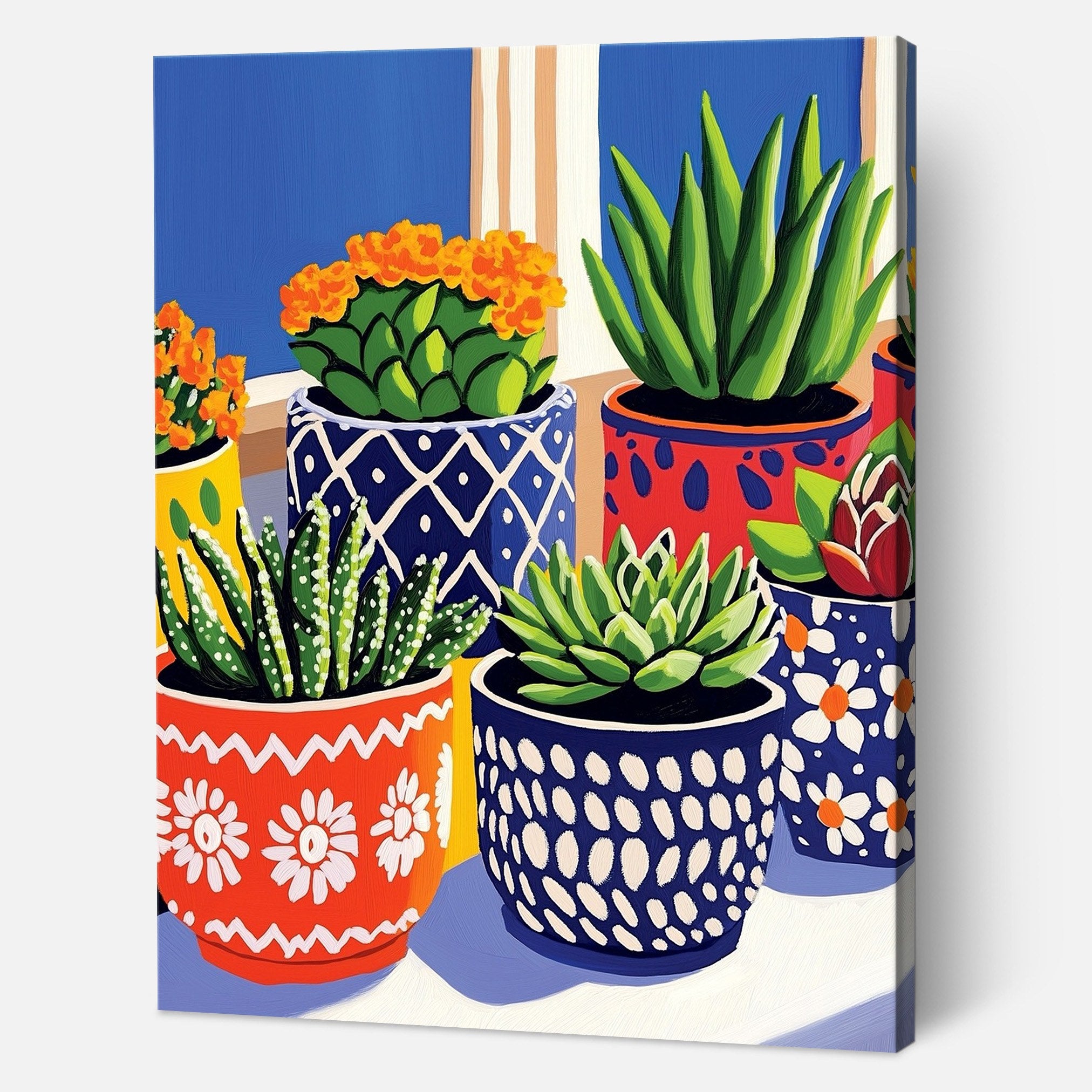 Vibrant Succulents