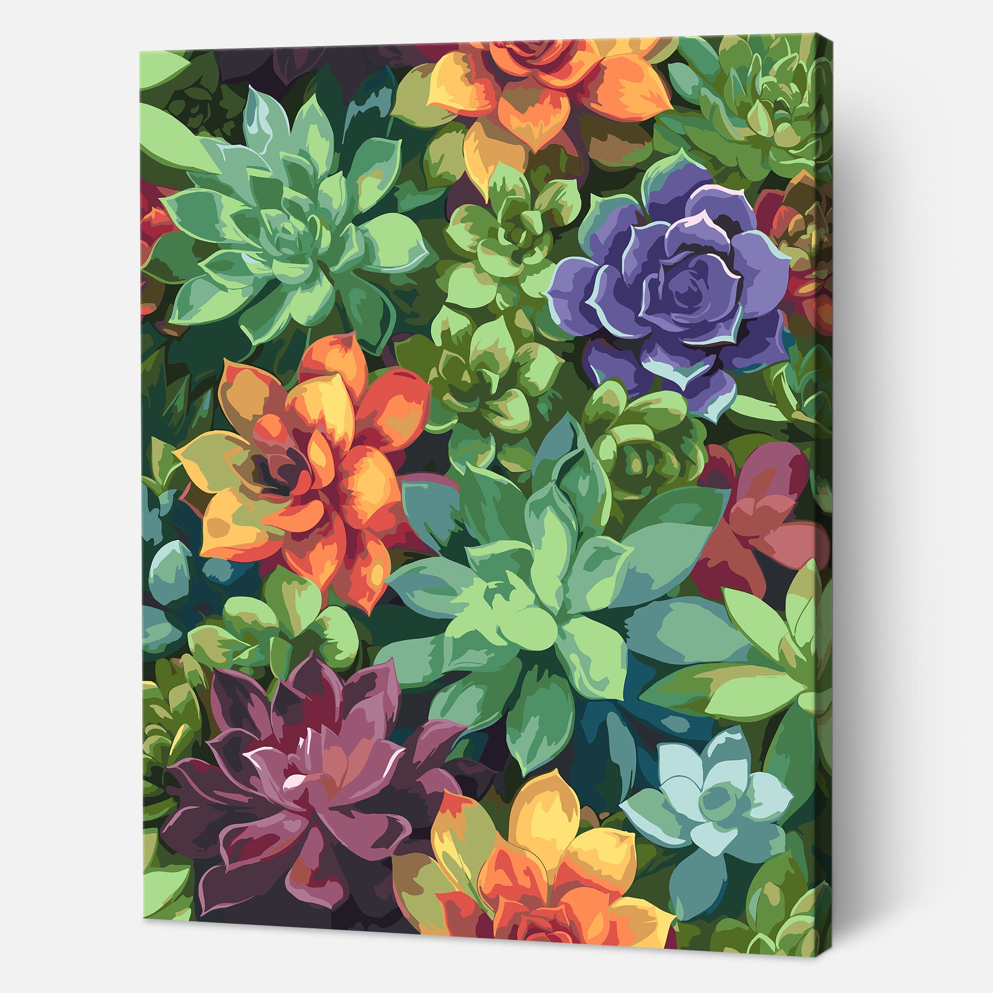 Succulent Symphony