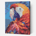 Colorful Parrot