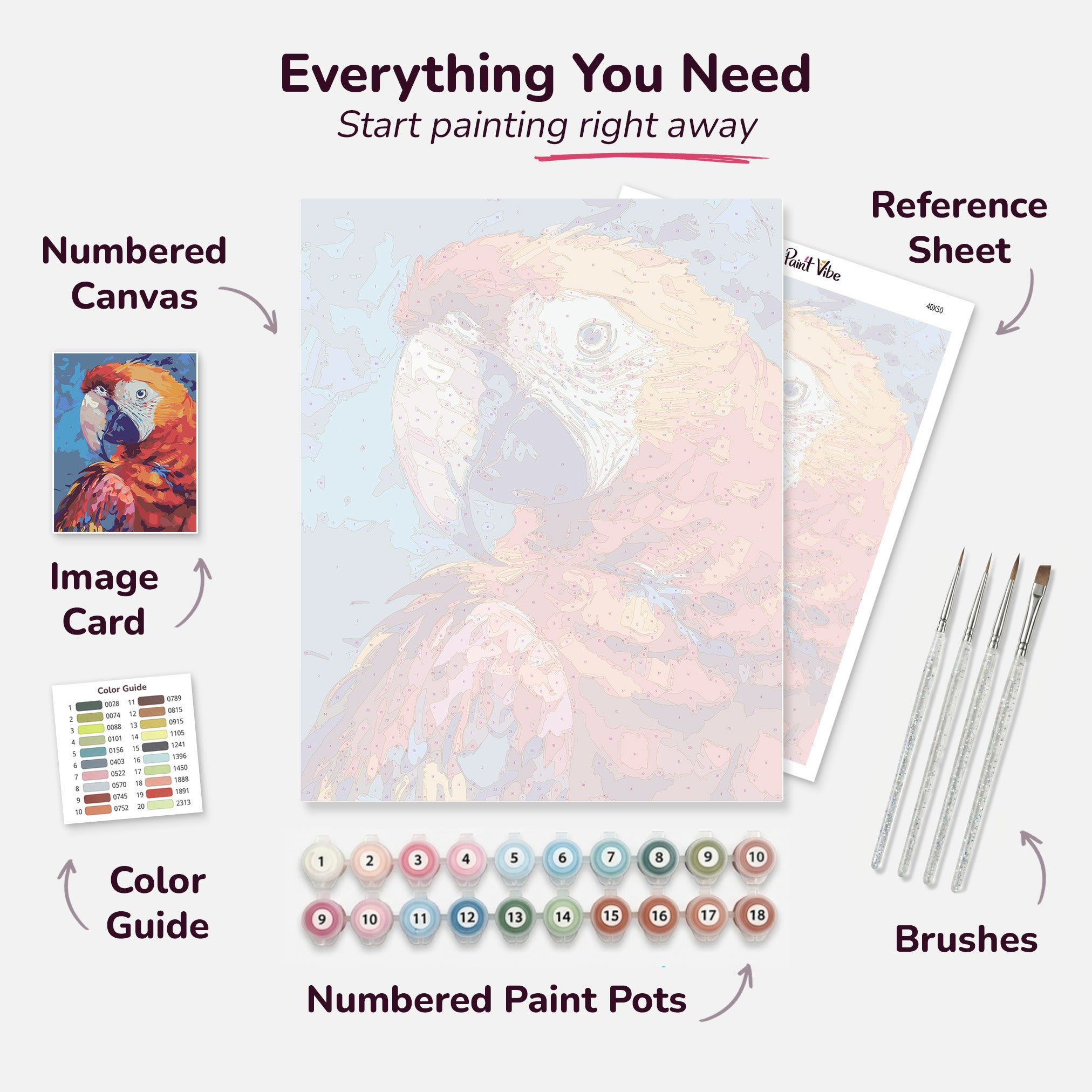 Colorful Parrot