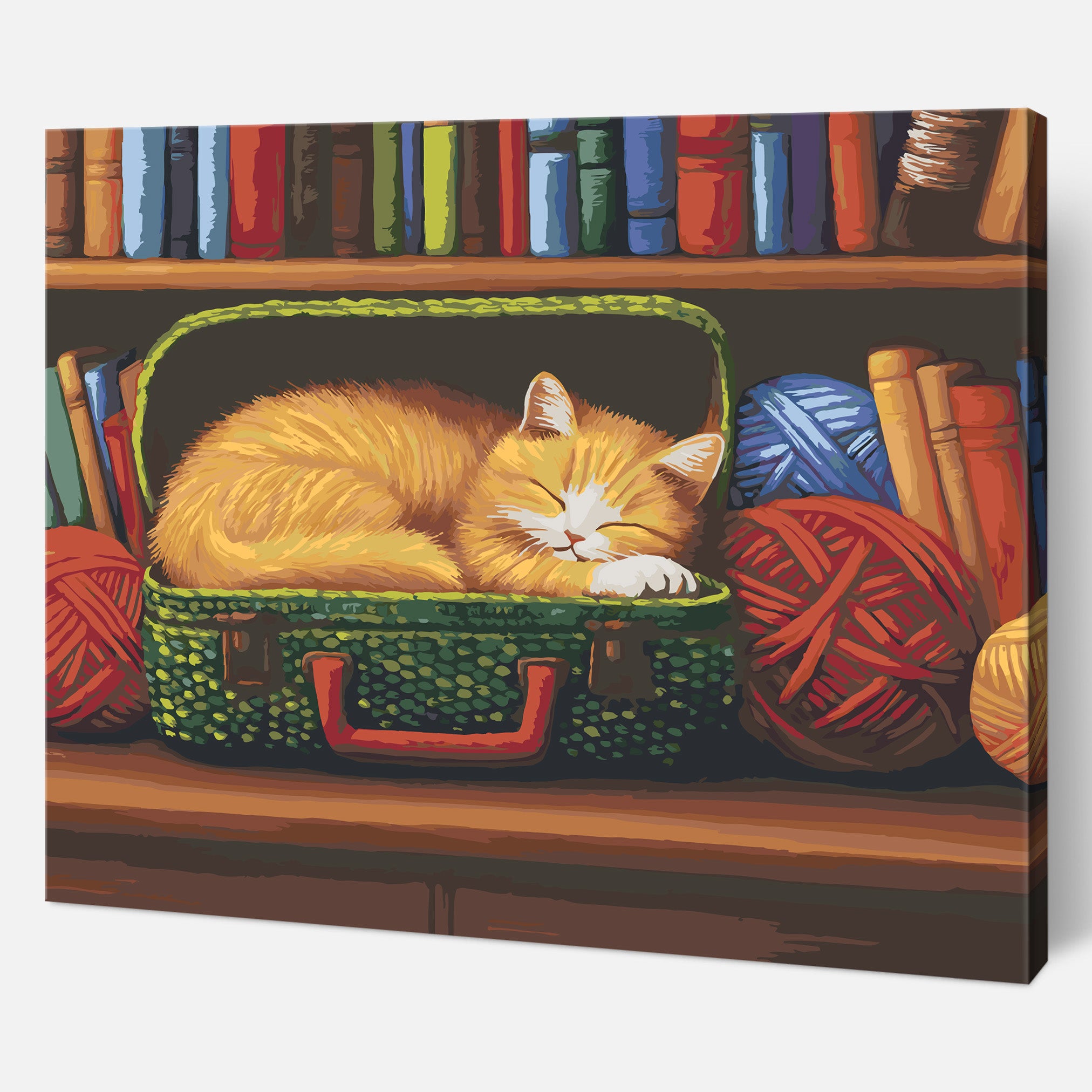 Cozy Cat Haven