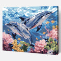 Dolphin Dance