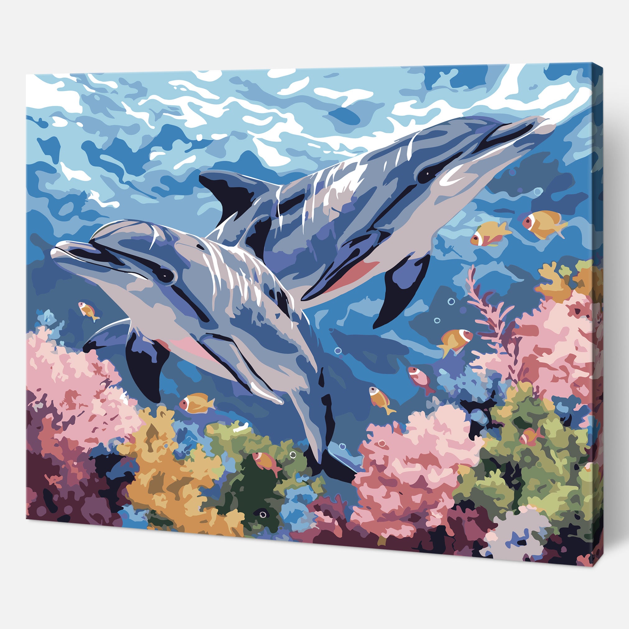 Dolphin Dance