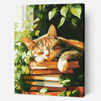 Whisker Dreams