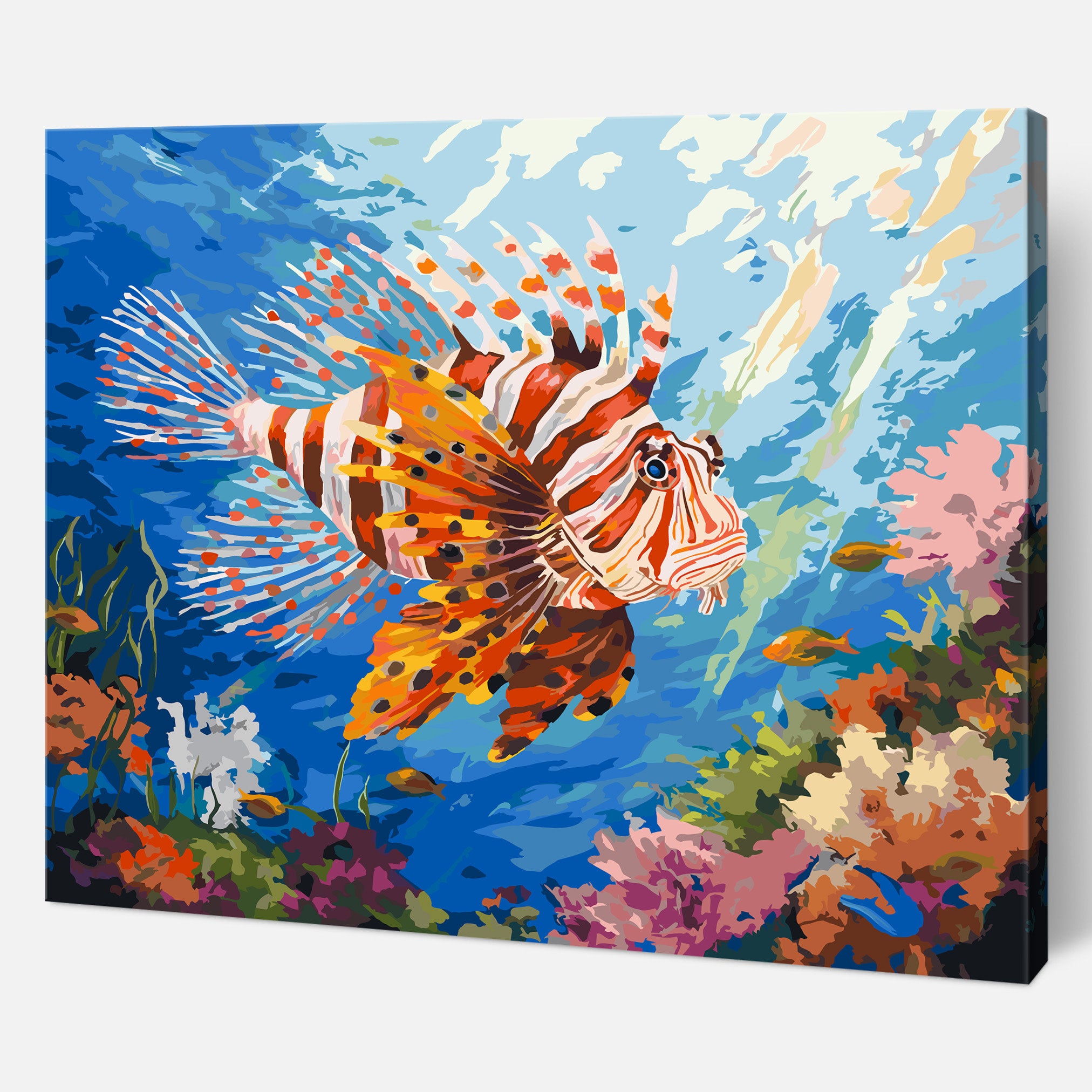 Reef Radiance