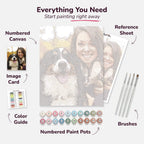 Custom Paint by Numbers